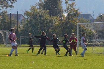 U13 Zlati – Zimska liga