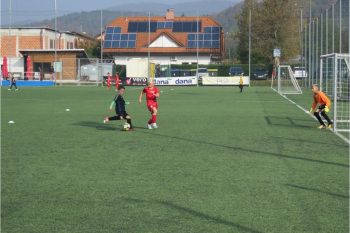 U11 – Polletna analiza